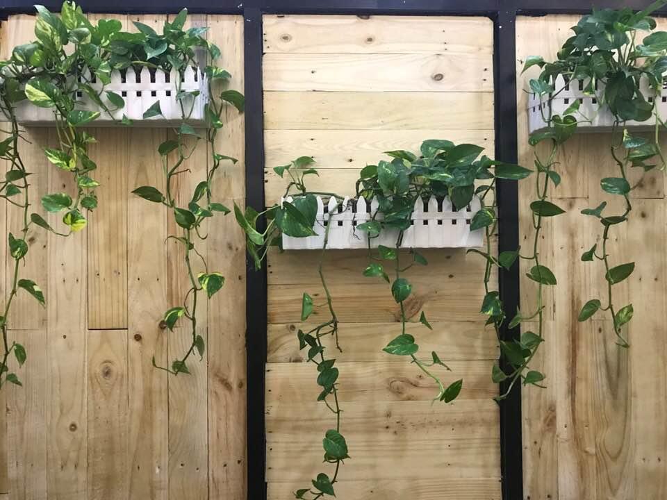 Vector Hostel Nha Trang Dış mekan fotoğraf