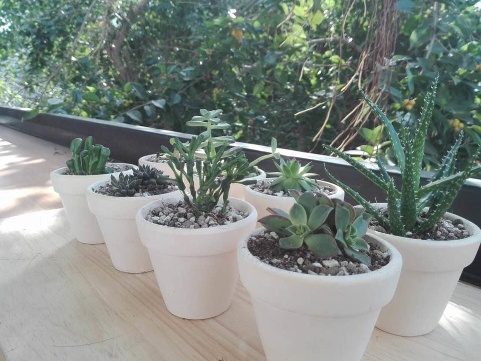 Vector Hostel Nha Trang Dış mekan fotoğraf