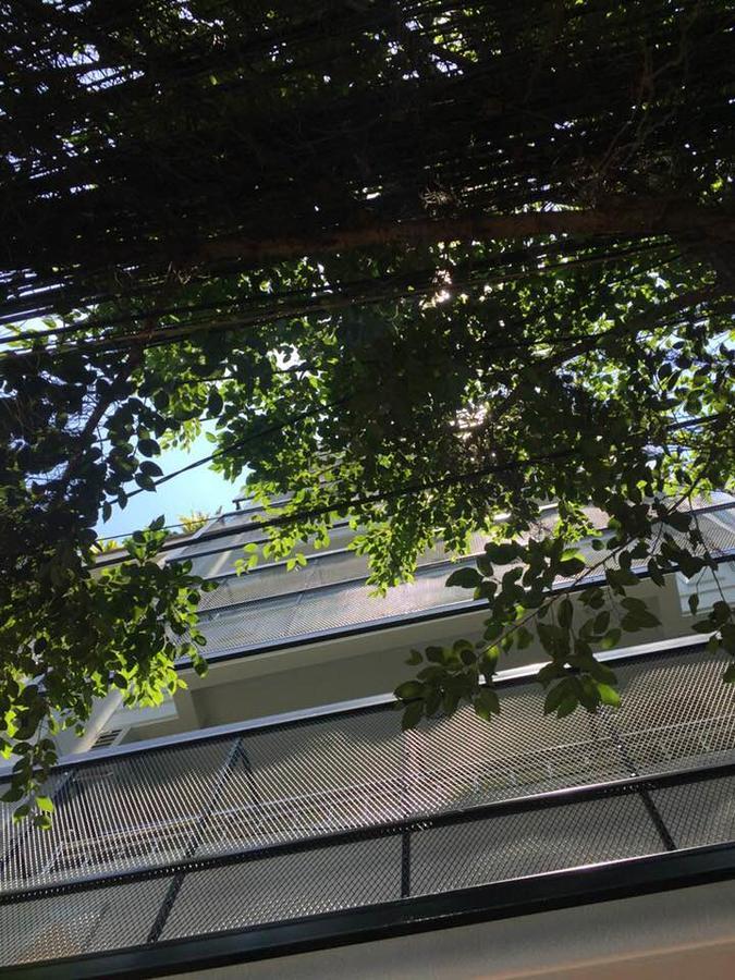 Vector Hostel Nha Trang Dış mekan fotoğraf