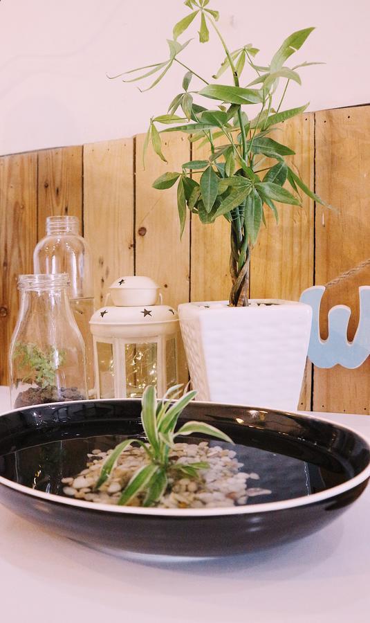 Vector Hostel Nha Trang Dış mekan fotoğraf